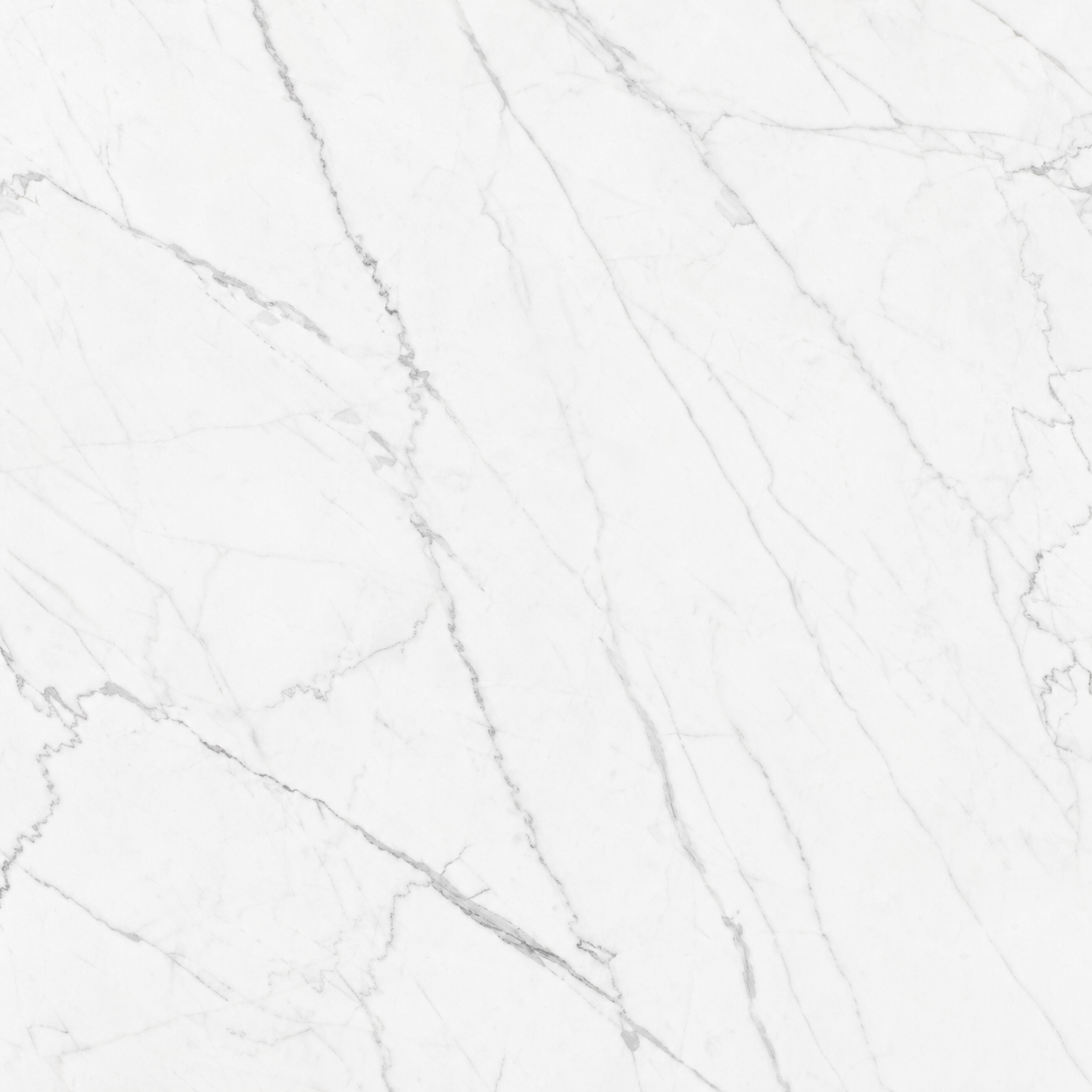 Bianco Venatino