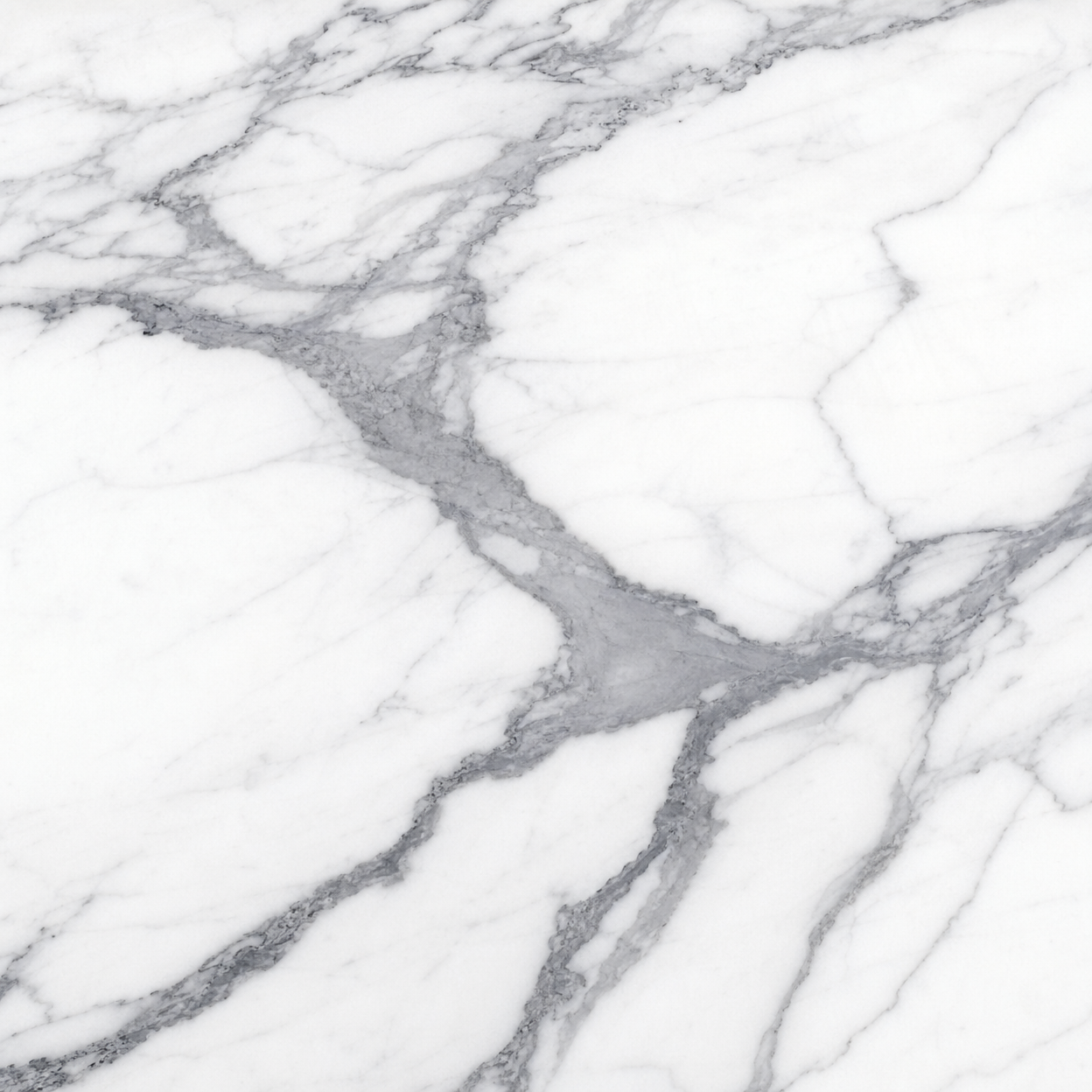 Bianco Venato